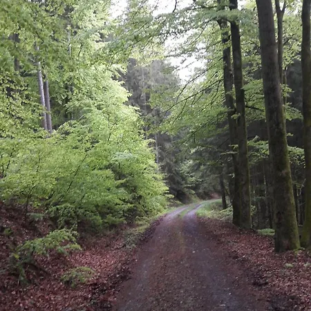 Unten Im Dorf Lejlighed Biedenkopf