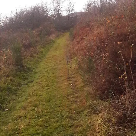 Unten Im Dorf ビーデンコプフ