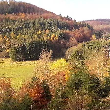 Unten Im Dorf アパート ビーデンコプフ