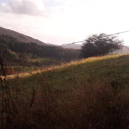 Unten Im Dorf * ビーデンコプフ