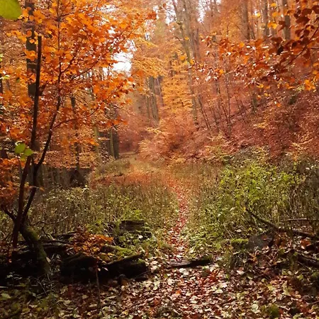 アパート Unten Im Dorf *