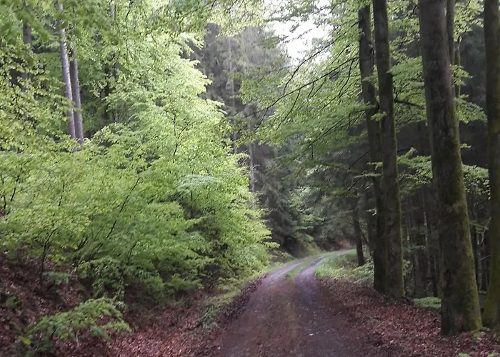 Unten Im Dorf Apartman Biedenkopf