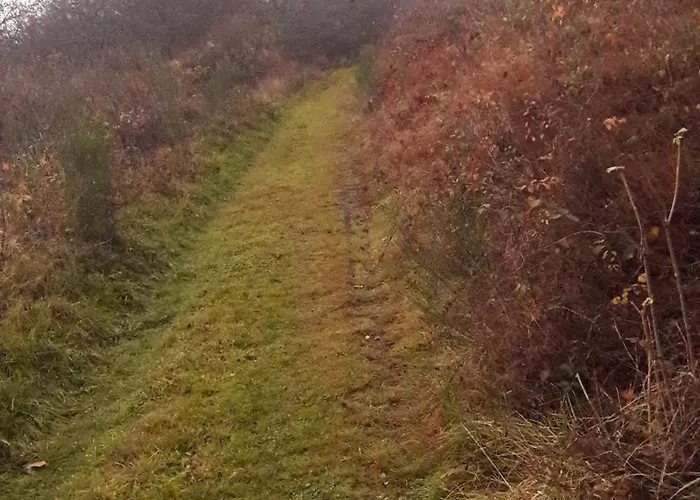 Unten Im Dorf Biedenkopf