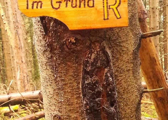 Unten Im Dorf Appartement *