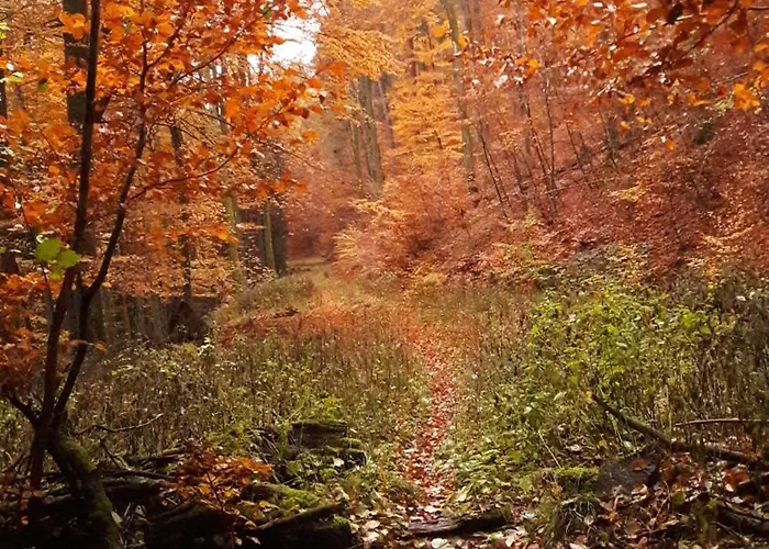 Apartman Unten Im Dorf *